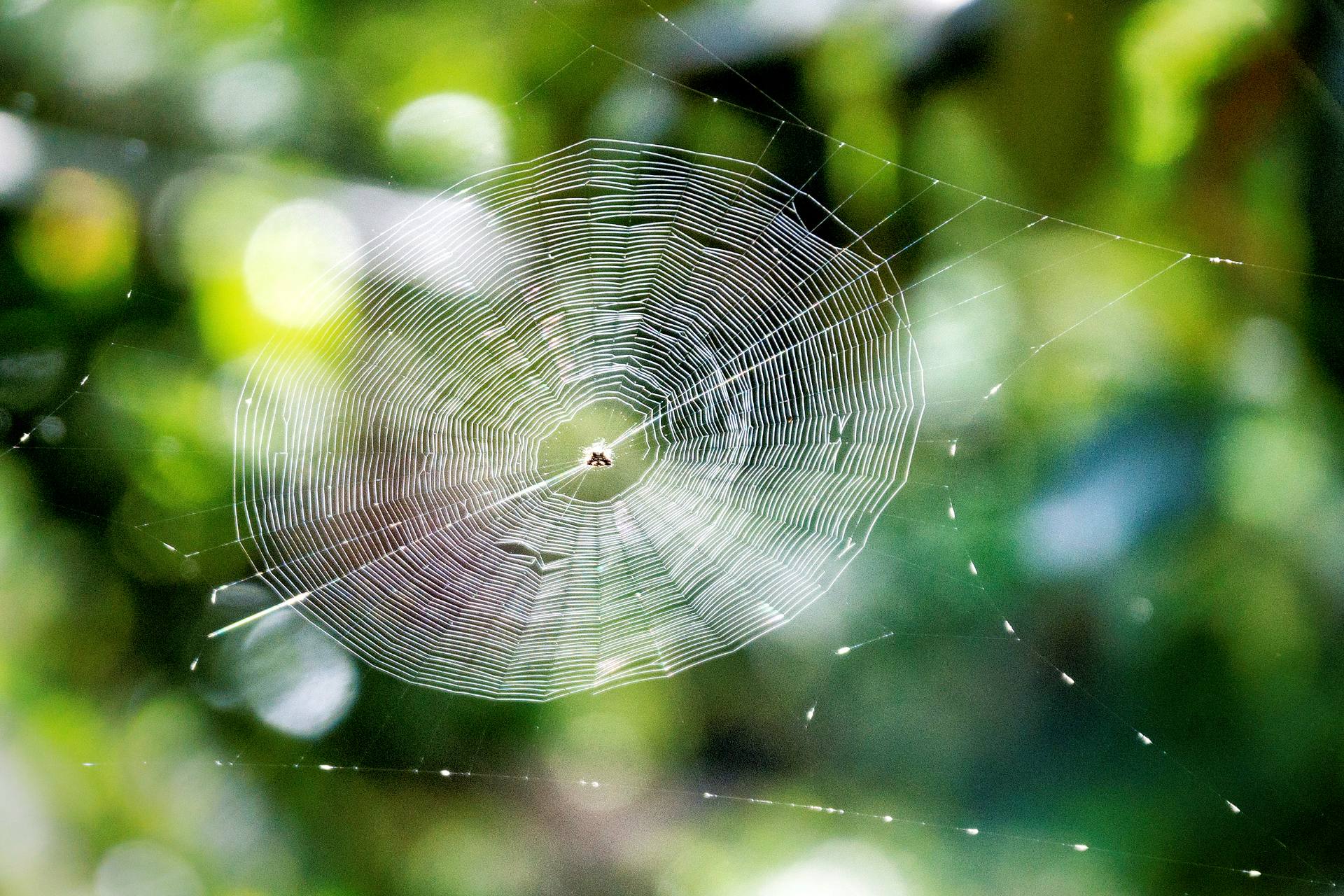 Tageswanderung durch die Umgebung von Nyaung Shwe